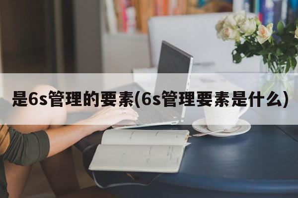 是6s管理的要素(6s管理要素是什么)